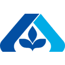 ALBERTSONS COMPANIES INC