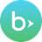 BLACKBAUD INC