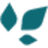 BRANCHOUT FOOD INC