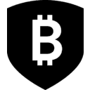 BITGO HLDGS INC