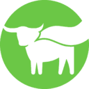 BEYOND MEAT INC