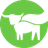 BEYOND MEAT INC