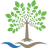 BEYONDSPRING INC