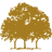 CANOPY GROWTH CORPORATION
