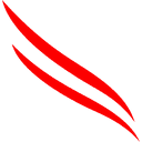 CROWDSTRIKE HOLDINGS INC