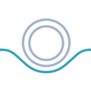 DBV TECHNOLOGIES SPON ADS EACH REPR 5 ORD SHS (R/S)