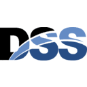 DSS INC