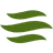 ENSIGN GROUP INC