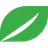 FORBRIGHT INC
