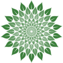 GROWGENERATION CORP