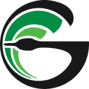 GOOSEHEAD INS INC