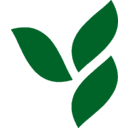 HERBALIFE LTD