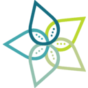 SEASTAR MEDICAL HOLDING CORP