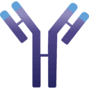 IMMUNOVANT INC