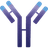 IMMUNOVANT INC