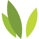 IRONWOOD PHARMACEUTICALS INC