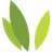 IRONWOOD PHARMACEUTICALS INC