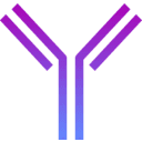 INVIVYD INC