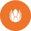 LIBERTY GLOBAL LTD.