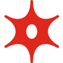 MURPHY OIL CORP