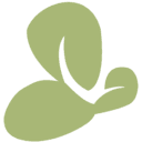 ORCHID ISLAND CAPITAL INC