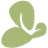 ORCHID ISLAND CAPITAL INC