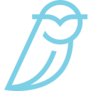 BLUE OWL CAPITAL INC