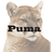 PUMA BIOTECHNOLOGY INC