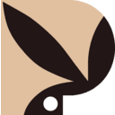PLAYBOY INC