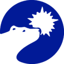 POLAR POWER INC