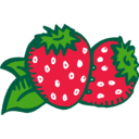 STRAWBERRY FIELDS REIT INC