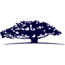 WISDOMTREE INC