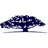 WISDOMTREE INC